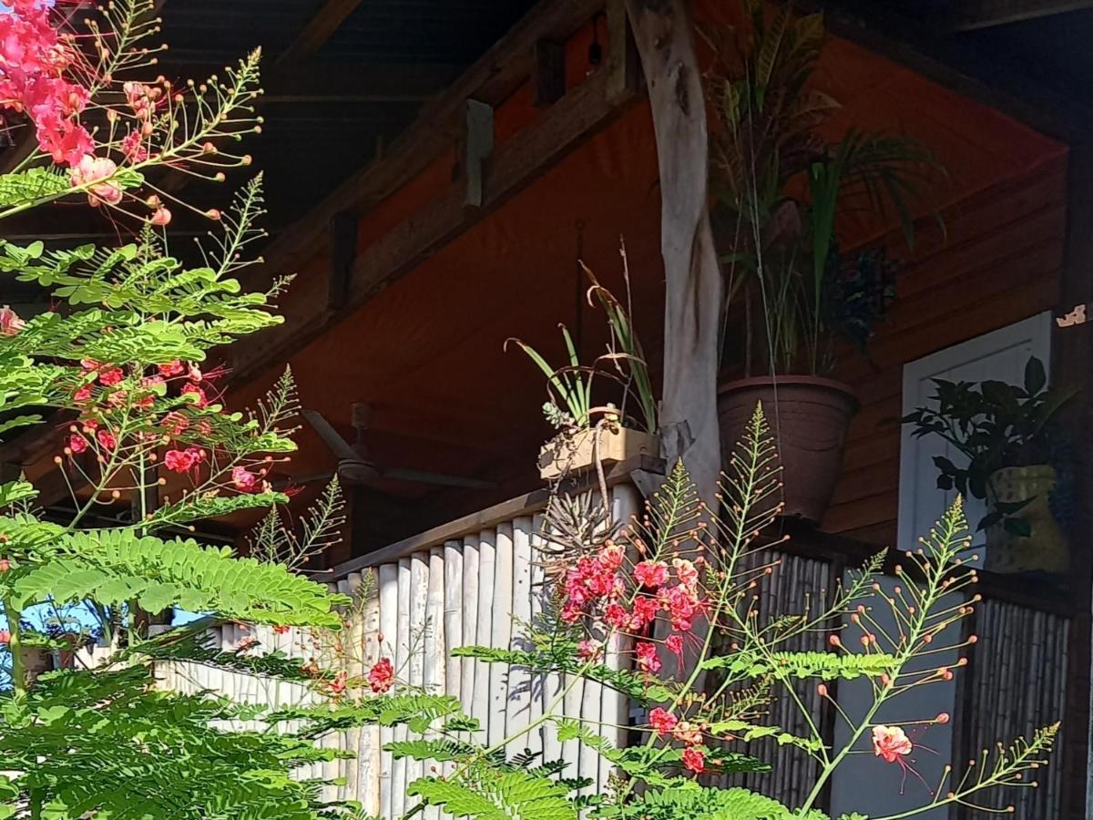 Appartamento Casa Lumiere Bocas del Toro Esterno foto